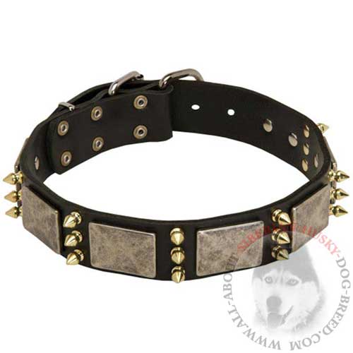 Leather Vintage Spiked Leather Collar for Siberian Husky Walking in Style