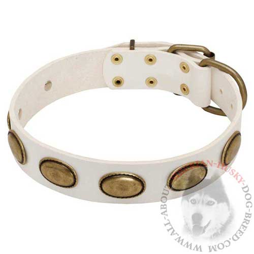 Leather Siberian Husky Collar with Vintage Brass Ovals