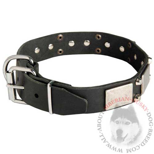 Adjustable leather collar