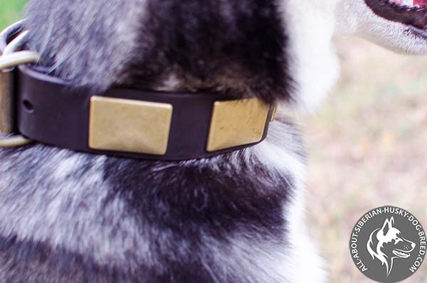 Handmade Siberian Husky Collar with Massive Antiqued Plates