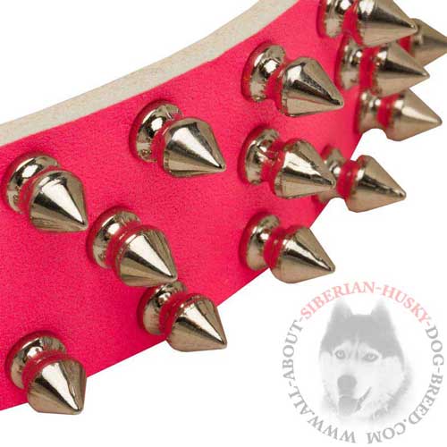 Spiked Pink Collar for Siberian Husky Walking