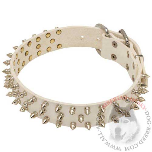 White Leather Dog Collar with Spikes
