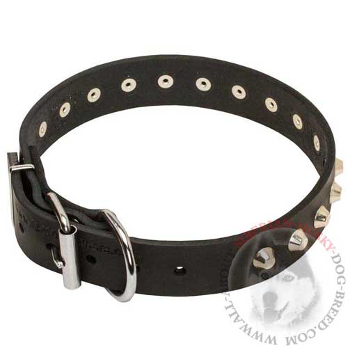 Buckle Leather Collar for Siberian Husky Training and Walking