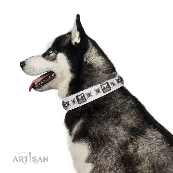 Unique decorated natural leather dog collar for comfortable wearing