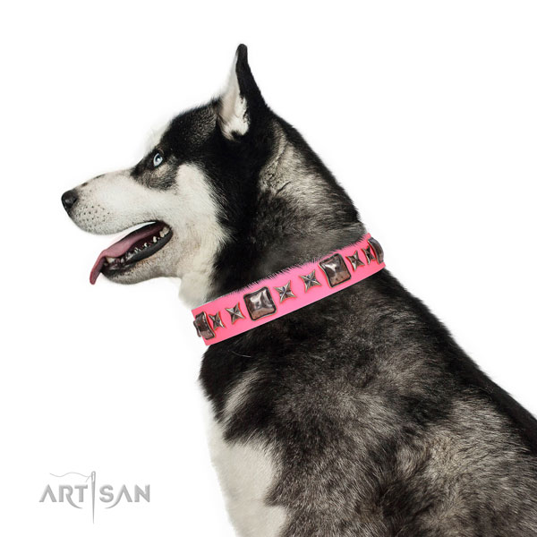 Stylish embellished leather dog collar for comfy wearing