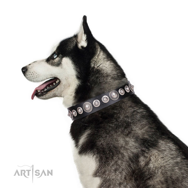 Stylish decorated natural leather dog collar for comfortable wearing