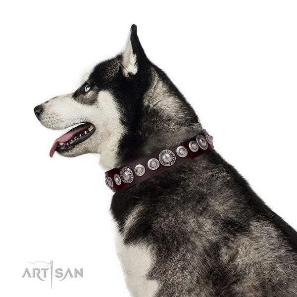 Stylish embellished natural leather dog collar for easy wearing
