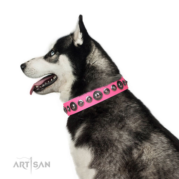 Remarkable decorated leather dog collar for stylish walking