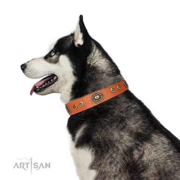 Extraordinary embellished natural leather dog collar for handy use