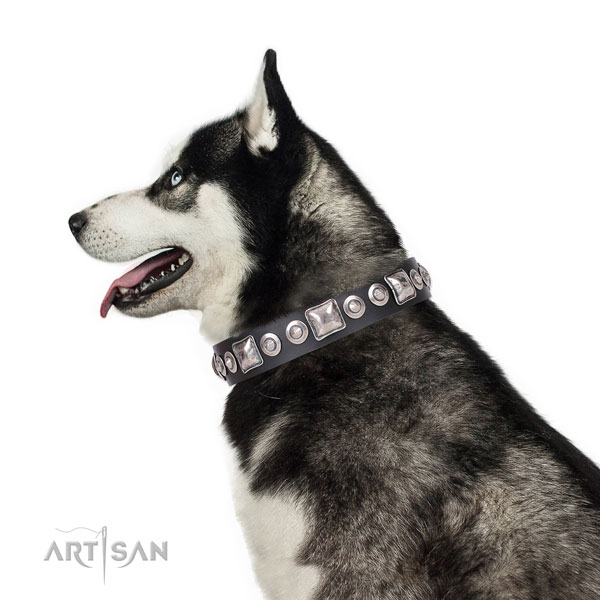 Unusual decorated leather dog collar for daily walking