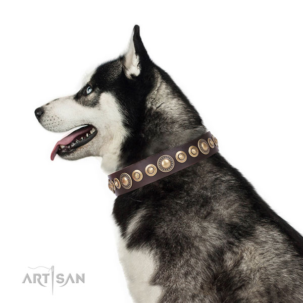 Exquisite decorated natural leather dog collar