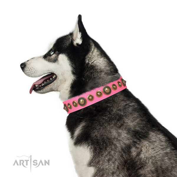 Strong buckle and D-ring on genuine leather dog collar for daily walking