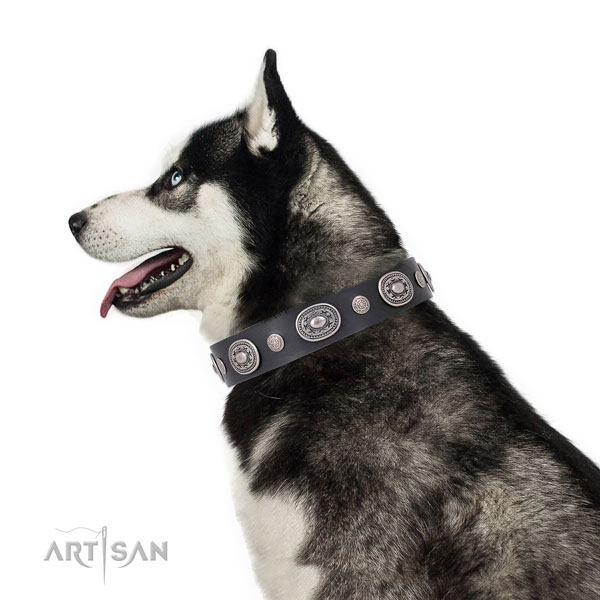 Rust-proof buckle and D-ring on leather dog collar for daily use