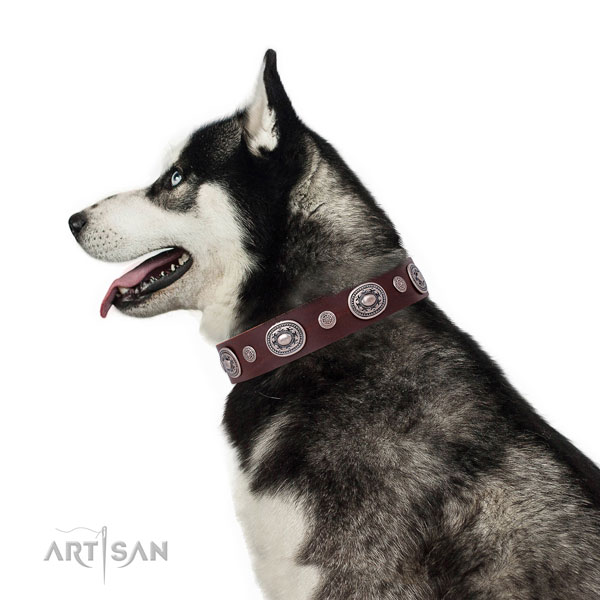 Durable buckle and D-ring on leather dog collar for walking in style