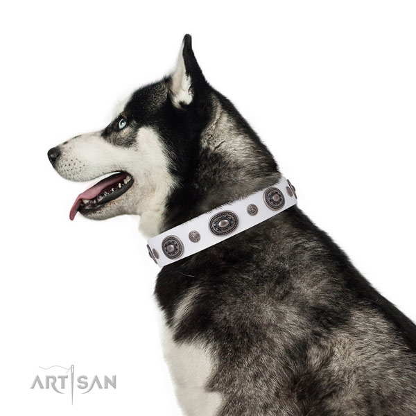 Leather dog collar with corrosion resistant buckle and D-ring for daily walking