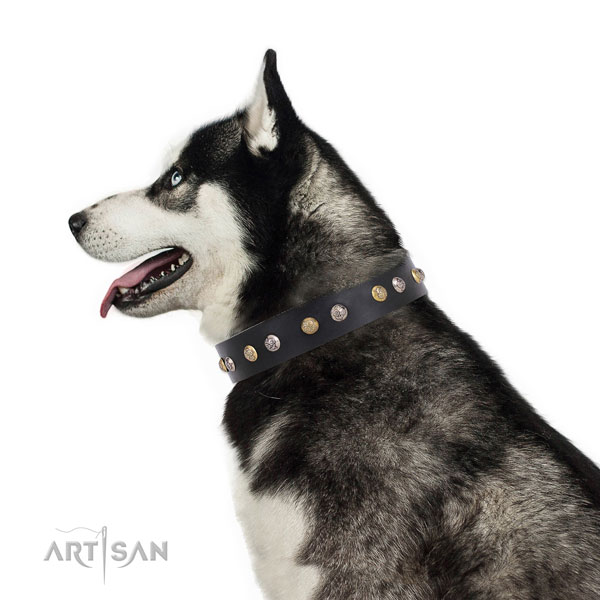 Leather dog collar with reliable buckle and D-ring for daily use