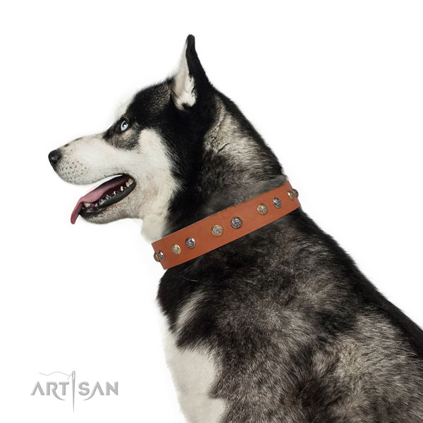 Natural leather dog collar with corrosion proof buckle and D-ring for everyday walking