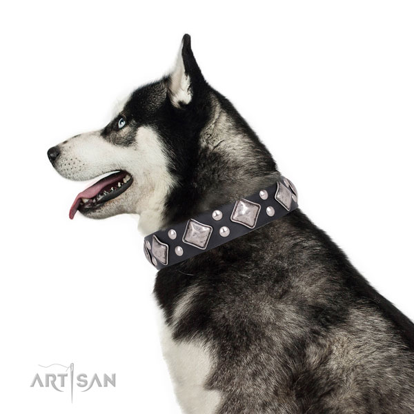 Everyday use embellished dog collar made of strong natural leather