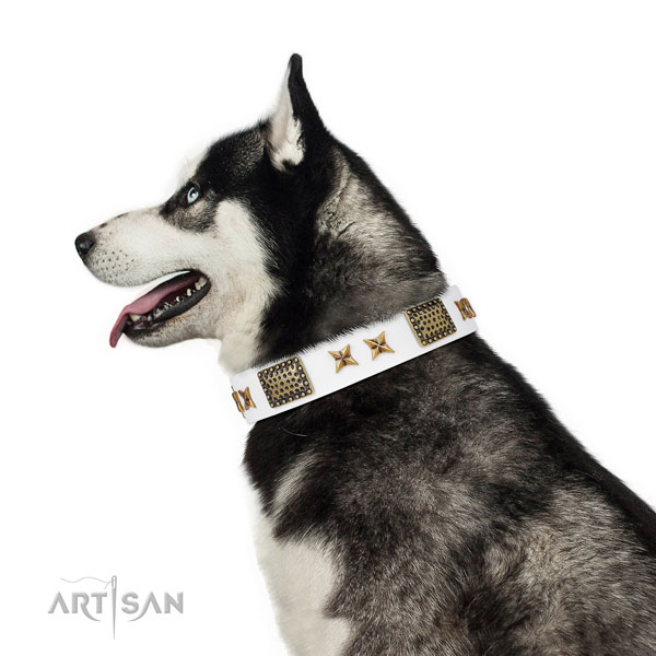Inimitable studs on walking genuine leather dog collar