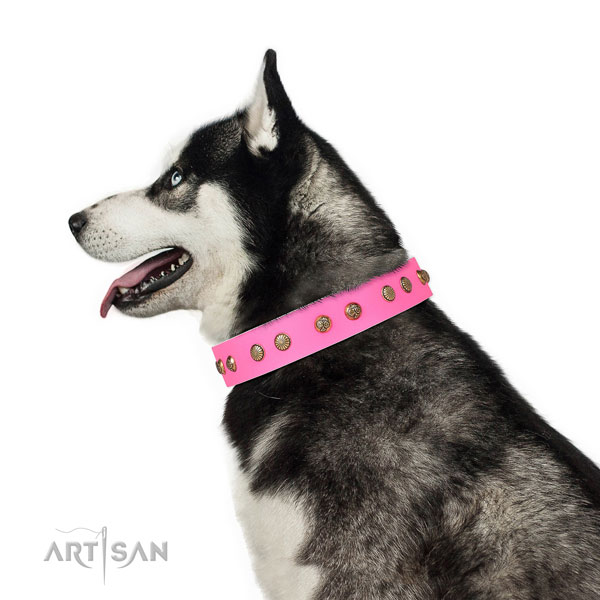 Inimitable adornments on daily use full grain natural leather dog collar