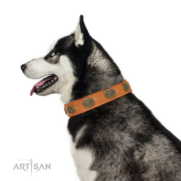 Significant decorations on fancy walking leather dog collar