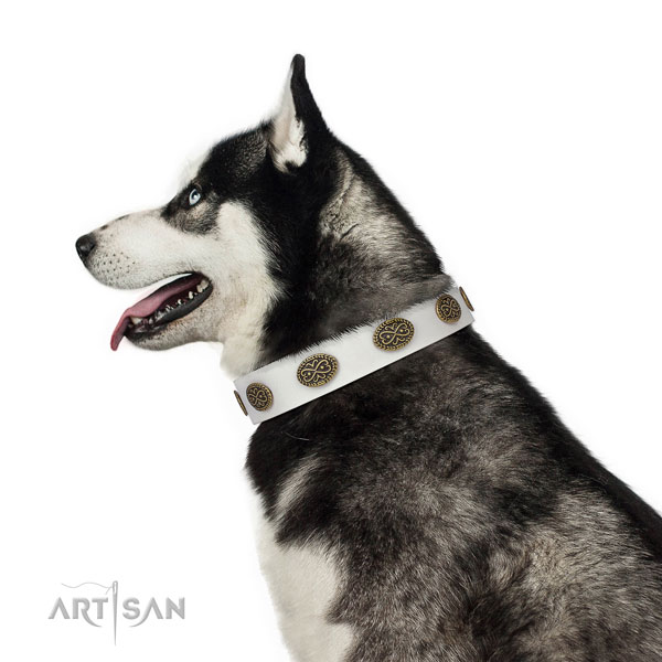 Stylish design decorations on fancy walking full grain leather dog collar