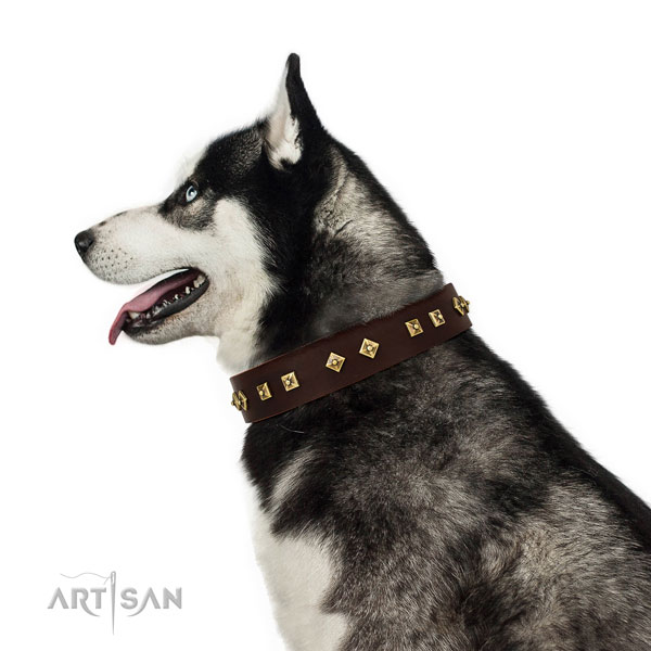 Unique studs on comfy wearing full grain leather dog collar