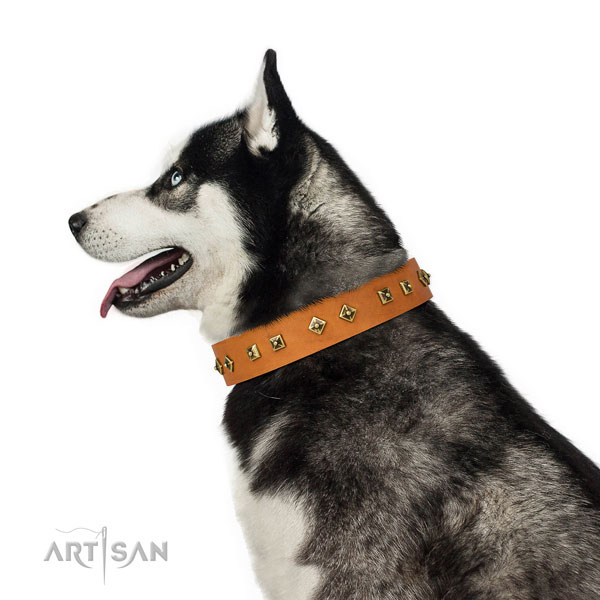 Exquisite decorations on daily use dog collar