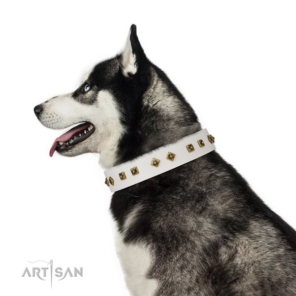 Impressive adornments on easy wearing dog collar