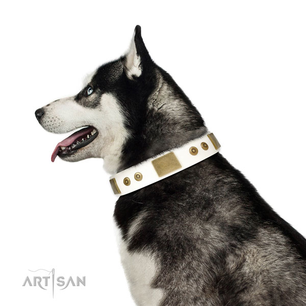 Strong everyday use dog collar of leather