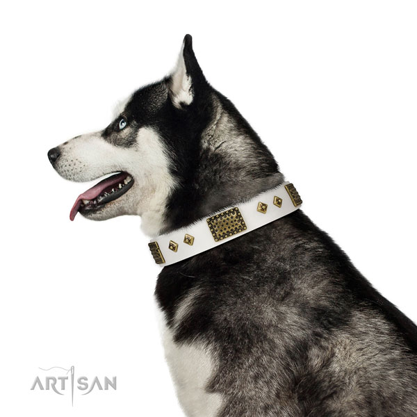 Handy use dog collar of natural leather with stunning adornments