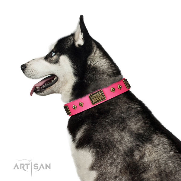 Fashionable full grain genuine leather collar for your lovely canine