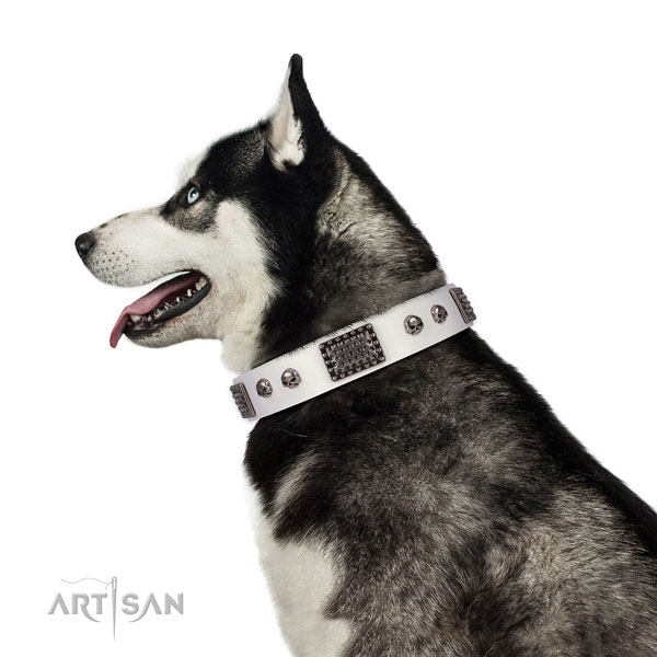 Handmade full grain leather collar for your attractive dog