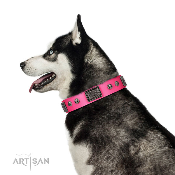 Adorned genuine leather collar for your lovely pet