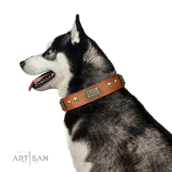 Rust-proof buckle on leather dog collar for comfortable wearing