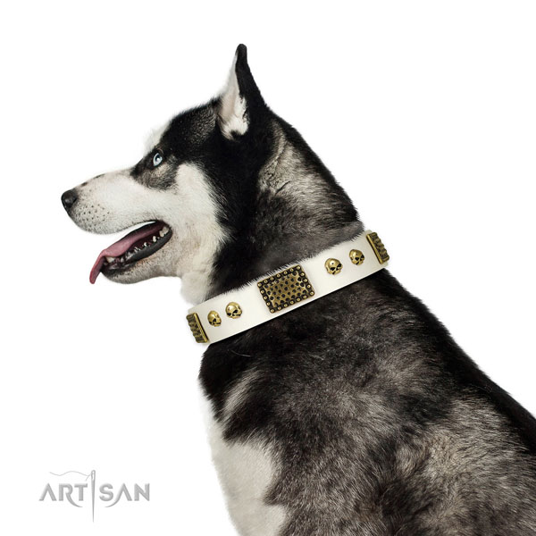 Strong hardware on leather dog collar for fancy walking