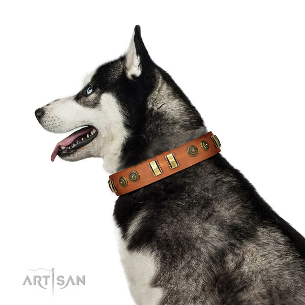 Corrosion proof hardware on natural leather dog collar for daily walking