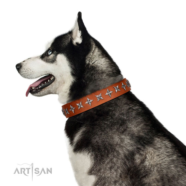 Best quality full grain natural leather dog collar with unusual adornments