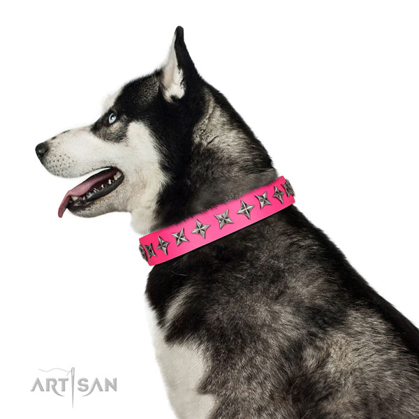Finest quality leather dog collar with extraordinary decorations