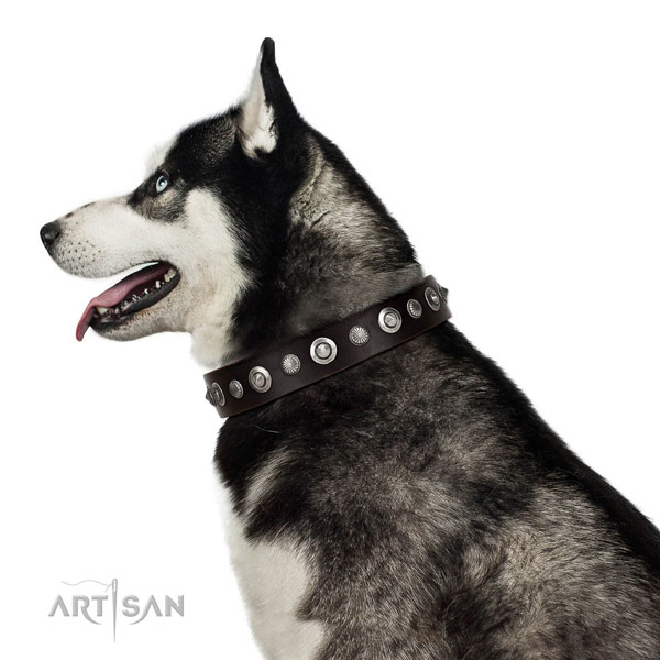 High quality full grain natural leather dog collar with stunning decorations