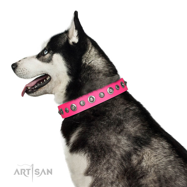 Full grain leather collar with corrosion resistant fittings for your attractive dog