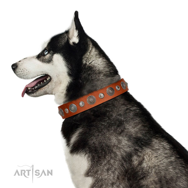 Awesome natural leather dog collar with corrosion proof D-ring