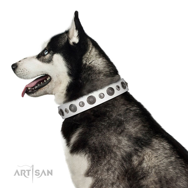Adjustable leather dog collar with rust-proof fittings