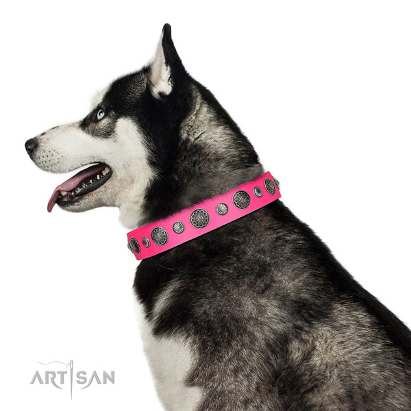 Comfortable leather dog collar with rust-proof traditional buckle