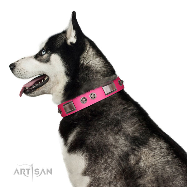 Perfect fit full grain leather dog collar with adornments