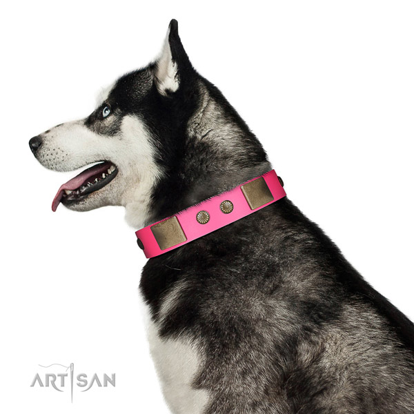 Strong fittings on full grain natural leather dog collar for walking