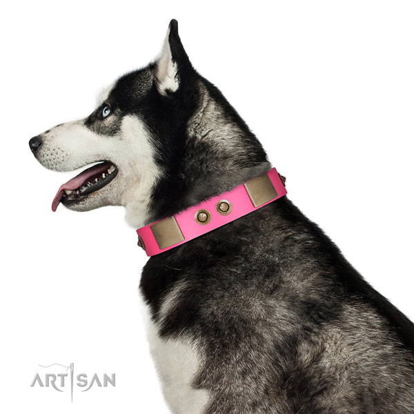 Everyday walking dog collar of natural leather with unique embellishments