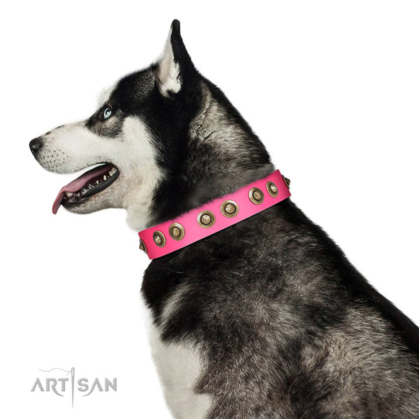 Full grain natural leather collar with studs for your handsome canine