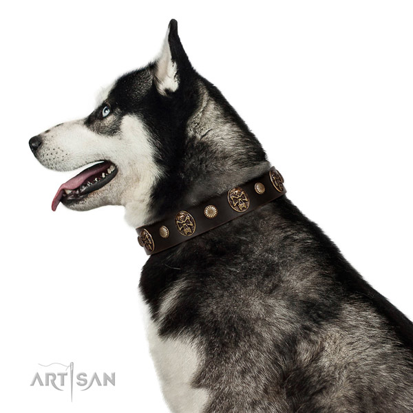 Fashionable full grain genuine leather collar for your lovely canine