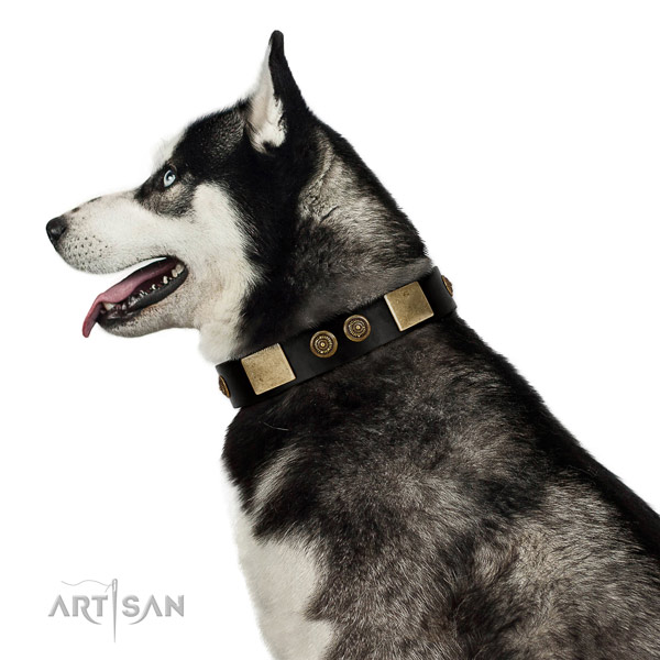 Rust resistant hardware on full grain genuine leather dog collar for daily use